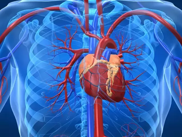 Exercițiile care măresc potența sunt contraindicate în cazurile de boli de inimă