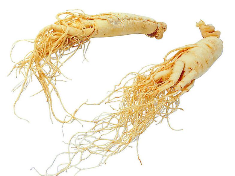 Rădăcină de ginseng pentru potență